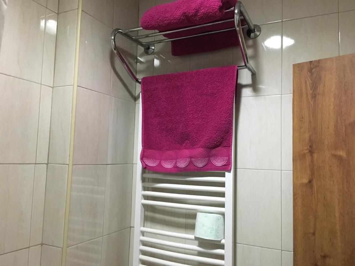 Danubian Hotel Vidin Eksteriør billede