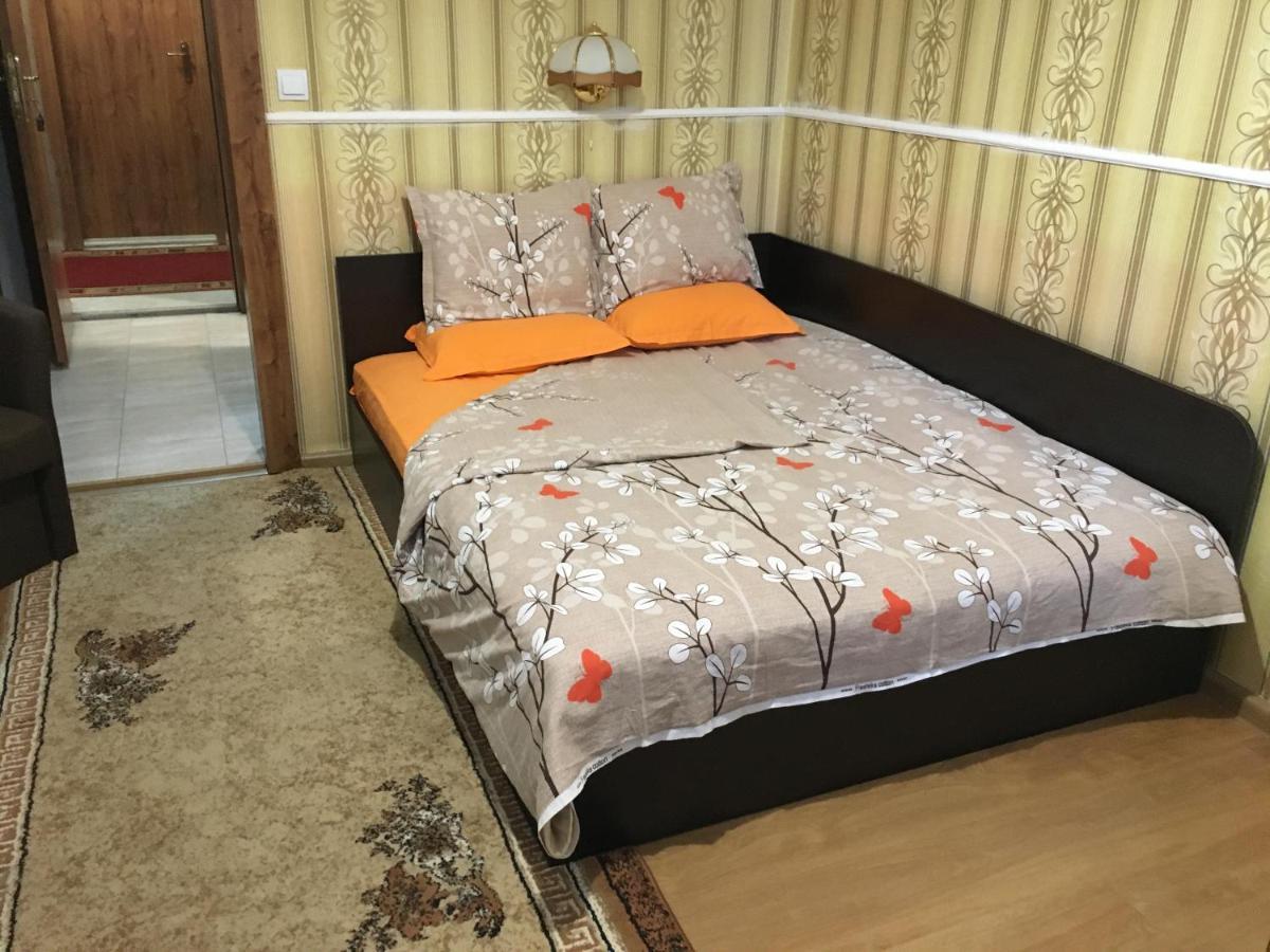 Danubian Hotel Vidin Eksteriør billede